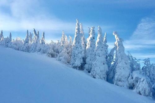 Apartamento The Mountainside By Escapades Tremblant