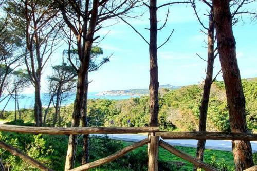 Villa Celeste / Private / Escape To Nature / Olive Groves / Sea Views