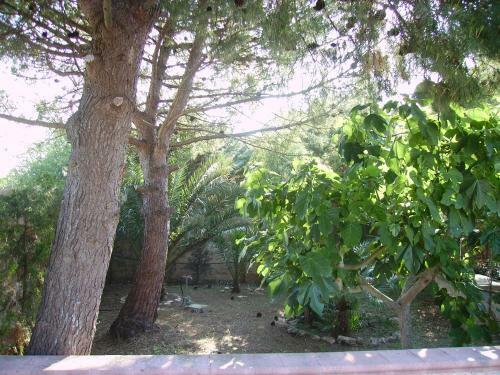 Apartamento Villetta Titta