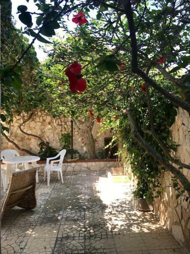 Villa Angela Splendida Villa A Stone's Throw From The Sea