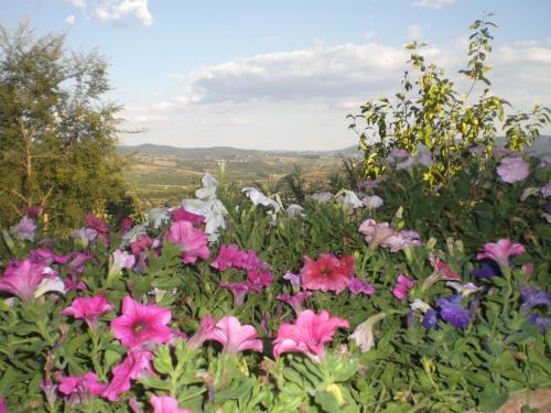 Villa Chiantivillas Poggio A Vento