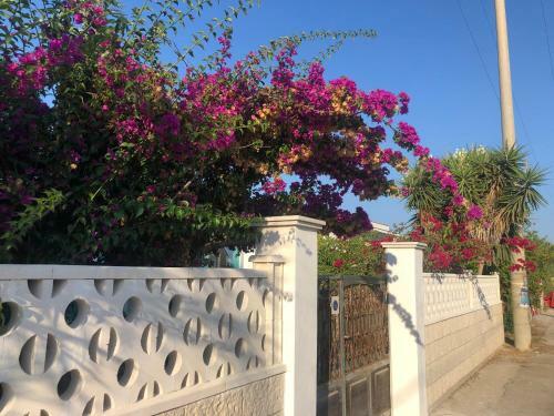Casa Vacanze ?bougainvillea?