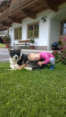 Agroturismo Bio-bauernhof Niederlehen
