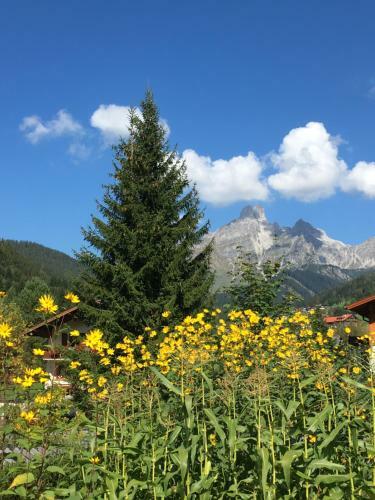 Apartamento Zur Lieben Sonne