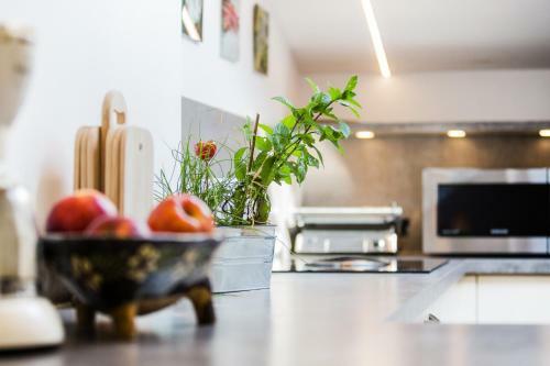 Apartamento Ferienwohnungen Feldhof