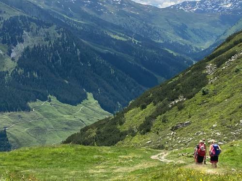 Apartamento Royal Swan Appartement, Tirol