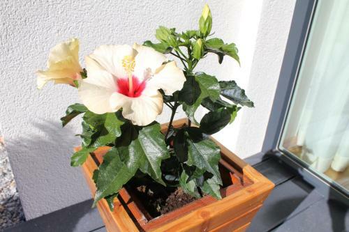 Apartamento Ambiente