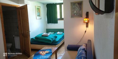 Apartamento Hinterrinnbach Appartments