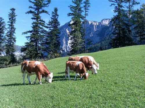 Apartamento Ferienwohnungen Seraphine Und Theresia