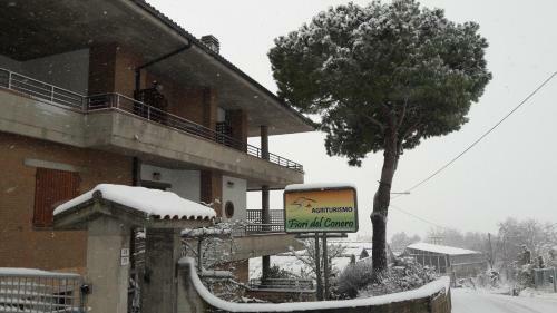 Agroturismo Fiori Del Conero