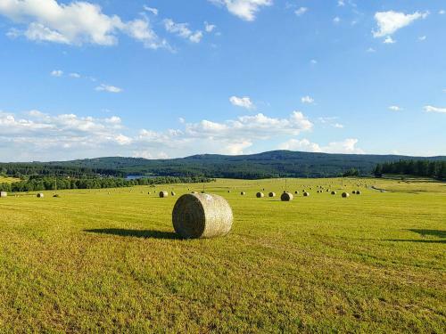 Vivat Lipno! - Lake View Apartment