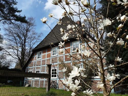 Sch�nes Apartment Vor Den Toren Hamburgs