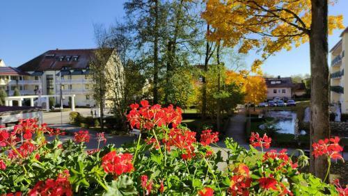 Apartamento Pension Schneider, Ferienwohnung
