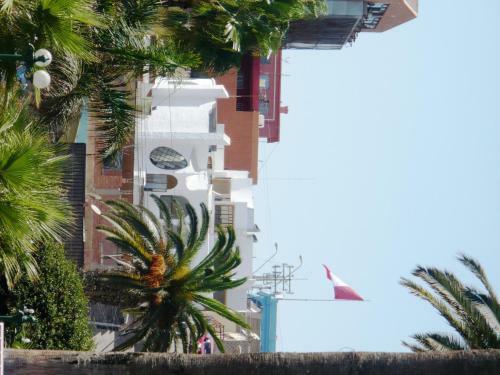 Apartamento Terra Amata Arica