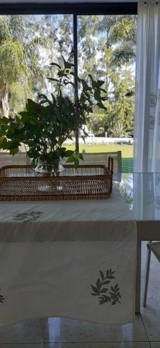 Family House Los Cuatro Robles