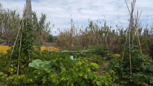 Agroturismo Moinho16 - Lisbon Mills