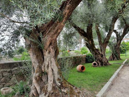 Agroturismo Quinta de Castelh�o