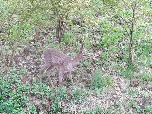 Apartamento N�he Nationalpark