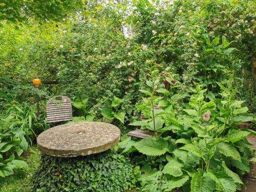 Apartamento N�he Nationalpark