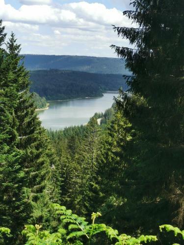 Apartamento N�he Nationalpark