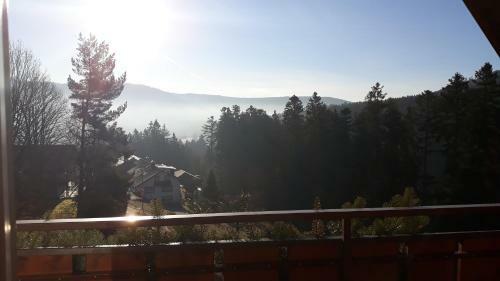 Hostal Landhaus Waldesh�he