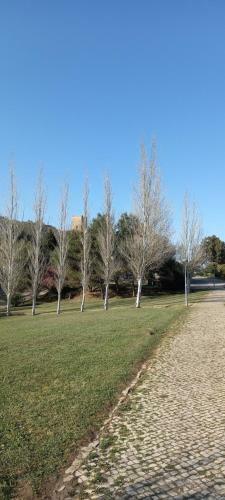 Apartamento Filipe�s House