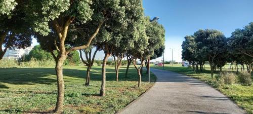 Apartamento Filipe�s House