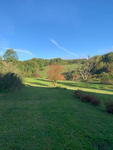 Apartamento Forsthaus In Waldhessen
