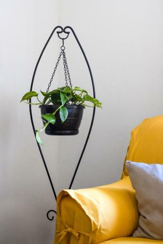 Apartamento Fonte Da Rosa Guest House