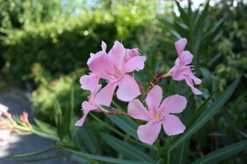 Bed & Breakfast La Seigneurie De Naves