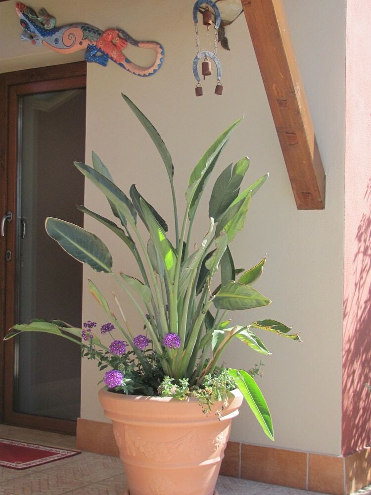 B&B Domu Mea