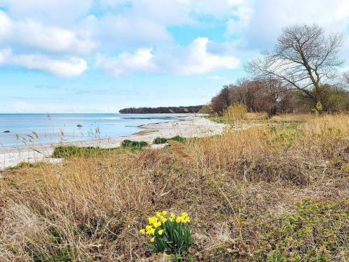 Holiday Home Nex� XXIX