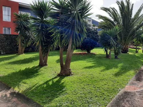 Casa Das Yucas - P�tio Apartment