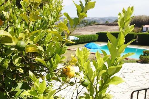Villa At S�o Juli�o Beach, Ericeira