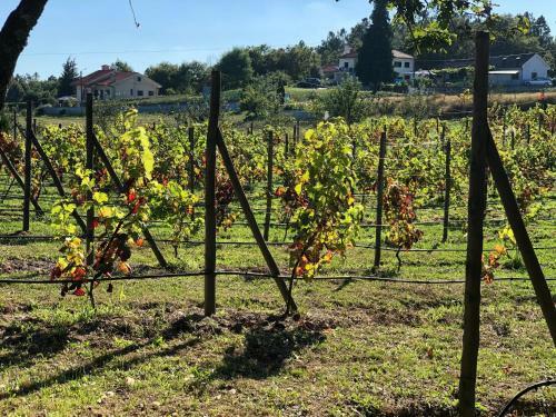 Casa Da Quinta Da Prelada Sim�o Partie Basse