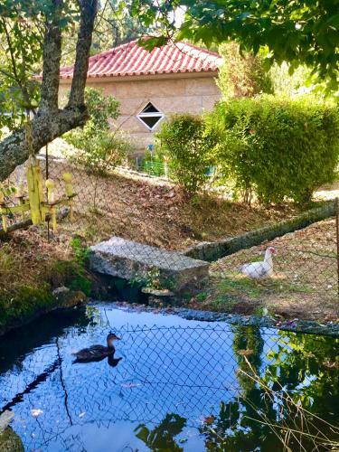 Casa Da Quinta Da Prelada Sim�o Partie Basse