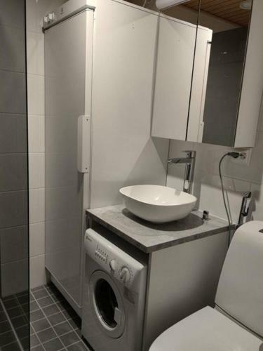 Apartamento Ski Studio Levi
