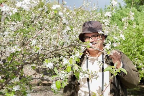 Villa Casa Da Eira "lavoura Da Bou�a - Fruta Bio"