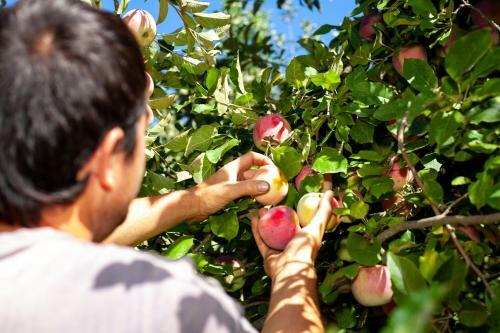 Villa Casa Da Eira "lavoura Da Bou�a - Fruta Bio"