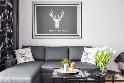 Trendy Homes Oulu Deluxe Apartments