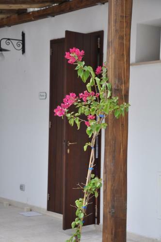 Agroturismo Agriturismo Marconi