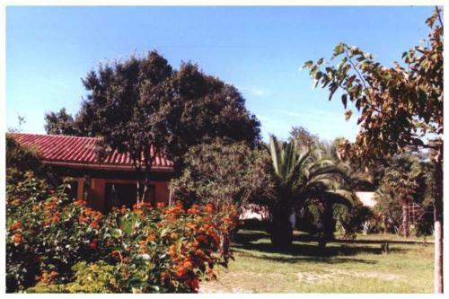 Apartamento Domaine De L'avidanella