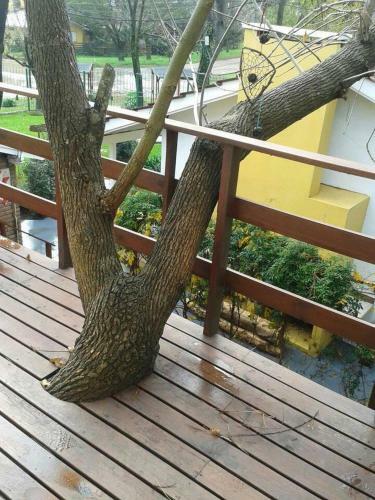 Apartamento Pucar�