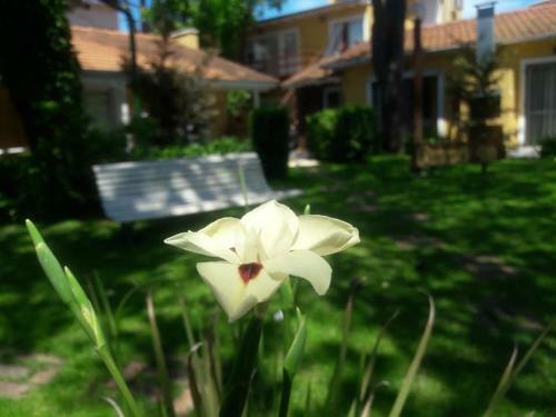 Apartamento Pucar�