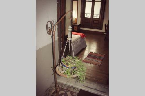 Casona de Loreto - Un Lugar de Alto Vuelo.