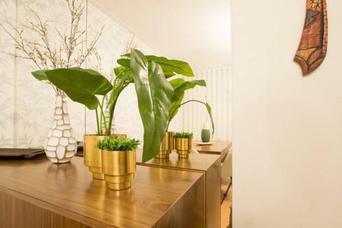 Modern Apartment In Coimbra City Center