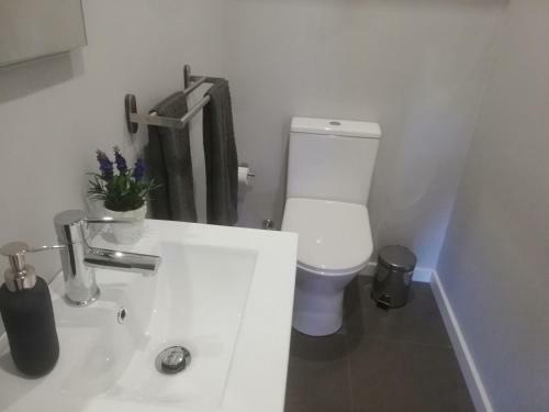 Apartamento Bp Palmilheira