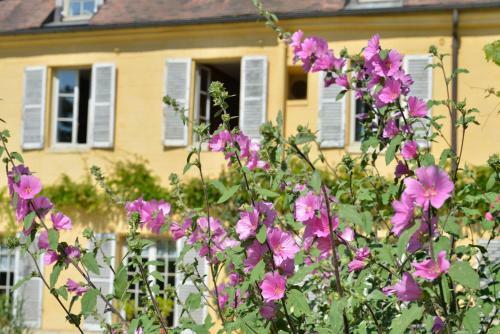 Bed & Breakfast Charmilles Des Cordeliers
