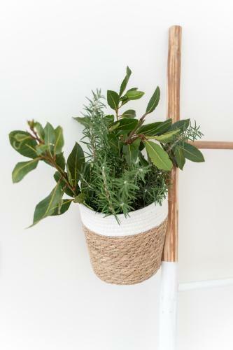 Apartamento Luz Do Sol Eco�sis Ericeira