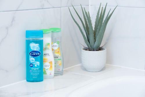 Central Belfast Apartments: Ashley Mews
